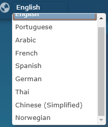 A screenshot of a computer

Description automatically generated
